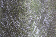 Heap Bridge fibreglass roof work